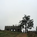 호진목장 이미지