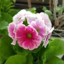 원종방앗간 이미지