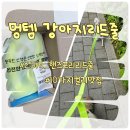 멍템 강아지리드줄 추천 2.5m 길이 10컬러 핸즈프리 산책템 리얼 후기