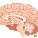 제일신경과의원 이미지