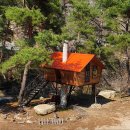 트리하우스 이미지