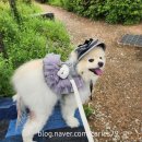 브릴랑디자인 이미지