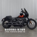 나인티게러지 이미지