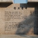 황포돗대 이미지