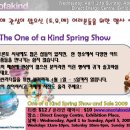 원오브카인드 이미지