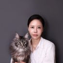 오묘 고양이카페호텔미용 이미지