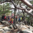 감포시장 이미지