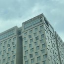 한빛덴탈 | [대전 여행] 롯데시티호텔 대전 : 스탠다드 더블룸 숙박대전 쿠폰으로 저렴하게 다녀온 후기