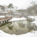자연숲족욕