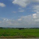 하늘농장8 이미지