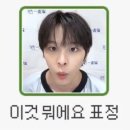 포카포카 이미지