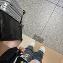 승수정비 | 도시 니가타에서의 3박 4일(ft.후지 드림 탑승후기, 니가타역 호텔, 맛집&amp;카페 추천, 힐링 여행기..☘️)