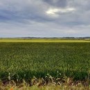 중랑문화원 이미지