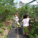 백암1길 이미지