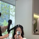 교대역 똥머리 로우번 가시포인트