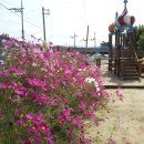 월항초등학교 이미지