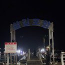 뉴)서산마트 | 서산 삼길포 뉴항구호 주꾸미 낚시 후기