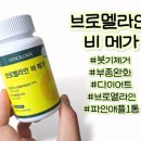 이안올로지 이미지