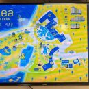 레아네팜 이미지