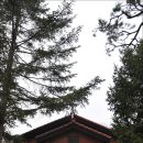 한화목장 이미지