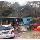 왕벌식당 Daum카페