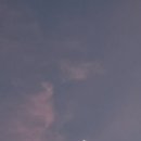 맘마논맘마민박 이미지