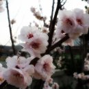 박사보건진료소 이미지