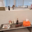 팽브로우 이미지