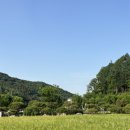 마암 | 대전 근교 드라이브, 공주 ‘카페 마암’ 솔직후기