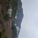 산애숲 이미지