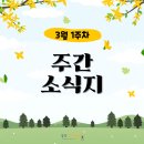 꿈이자라는땅 | 🌼감성아트센터 주간 소식지_3월 1주차