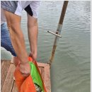 송전지 Daum카페