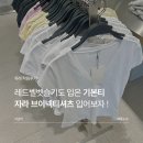 S.M BLD앞 | 자라 브이넥티셔츠 4174/315/818 S, M사이즈 별 비교 롯데월드몰점 방문 및 착용후기