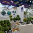 가락동농산물