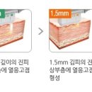 서면엘레슈의원 이미지