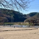 영주 무섬마을 | 설연휴 가볼만한곳ㅣ영주 무섬마을 &amp; 소백산 풍기온천