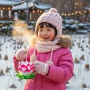 연꽃테마파크 | 시흥 연꽃테마파크 겨울 체험행사 솔직 후기!