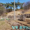 양평양동9단지 이미지