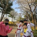 용인대홍익태권도장 - 시흥시 하중로 199 | 용인대홍익태권도장