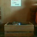 허브사랑찜질방