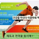 사사동146-1~사사동253-17 주변 | 사람을 살리는 해독 요법
