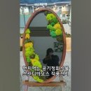 이끼정원 작가전 영상//수달 서식지 이야기//쌍암공원 왕버들나무 이미지