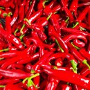 옥전농장 이미지