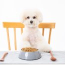 성복동물병원 이미지