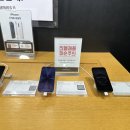 대덕대로-17 | 대전 프리스비 갤러리아 타임월드점 아이폰 17프로 예약 구매 후기 국민관광상품권 사용