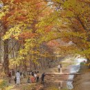 도리정원 이미지