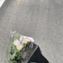 경희대한얼태권도 이미지