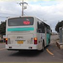 제주 셋알오름 일제 고사포진지 | 제주도 다크투어리즘 : 송악산 진지동굴, 알뜨르비행장 유적 탐방