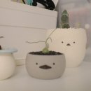 차식농장 이미지