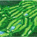 서라벌주